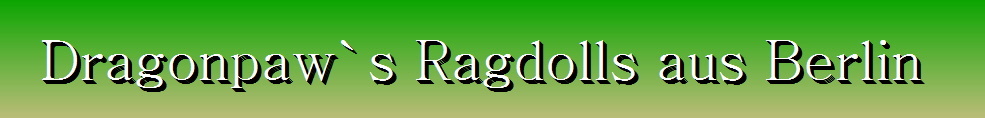 Geschichte der Ragdoll - ragdollhome.de